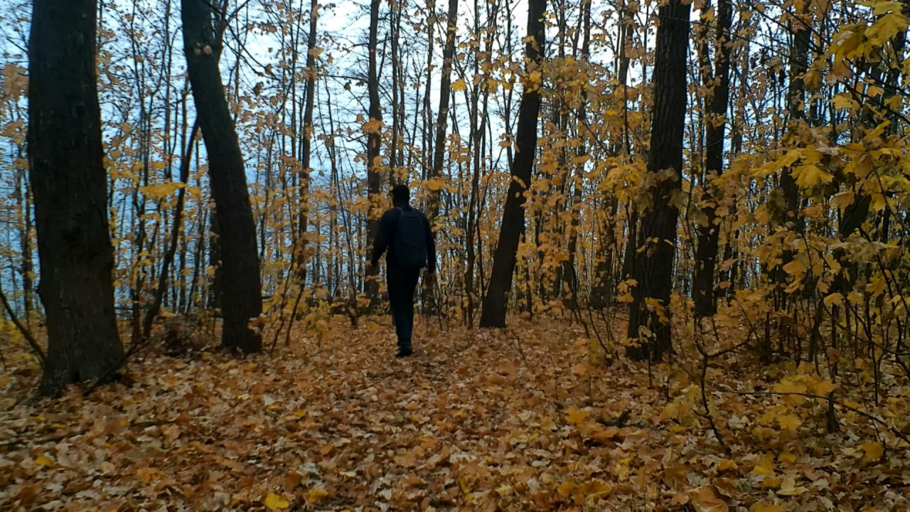 Golden Ulyanovsk:Russia's Stunning Autumn Transformation