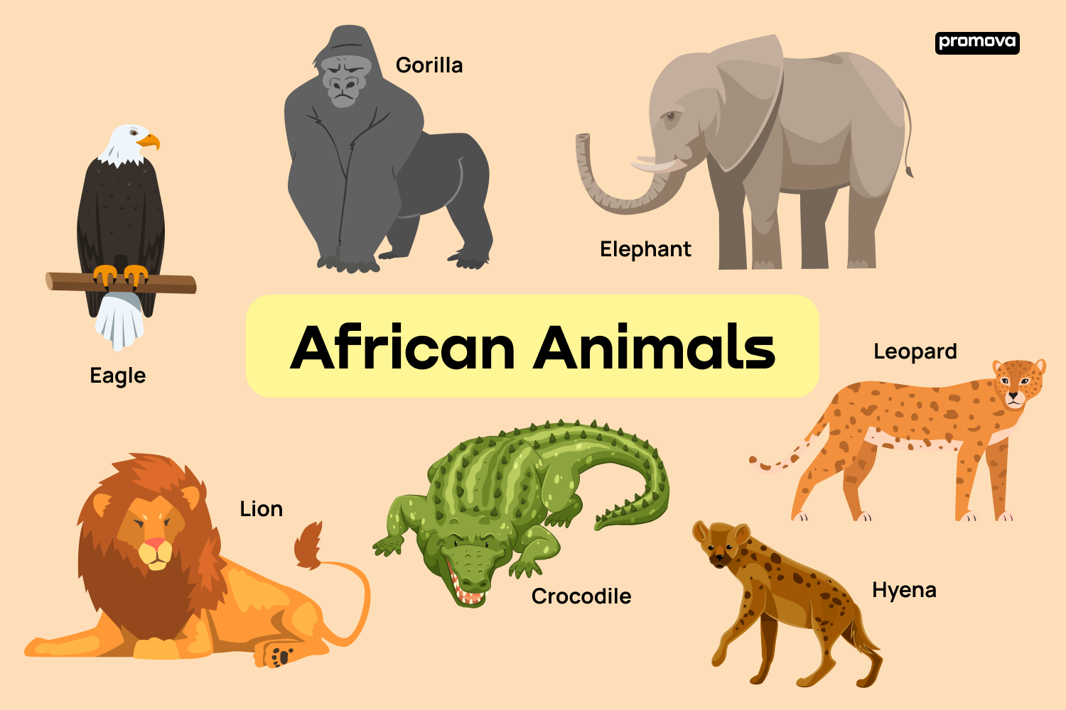 Animals